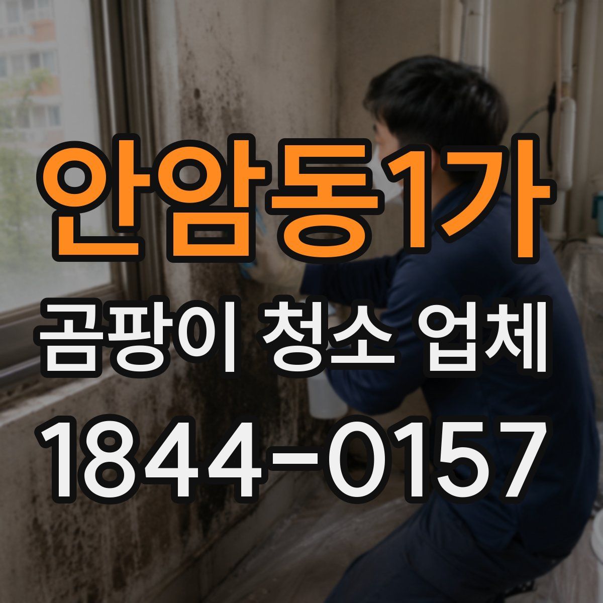 안암동1가 곰팡이 청소 업체