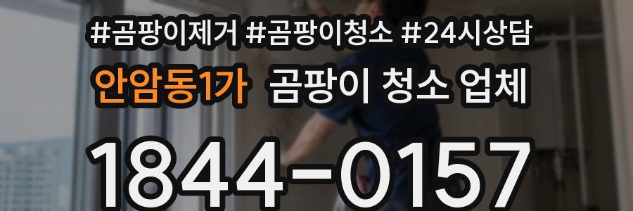 안암동1가 곰팡이 청소 업체