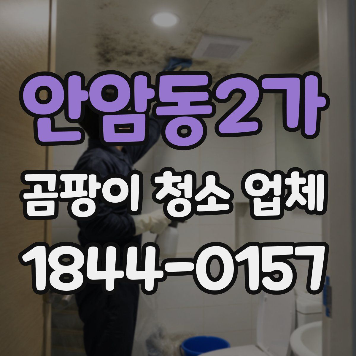 안암동2가 곰팡이 청소 업체