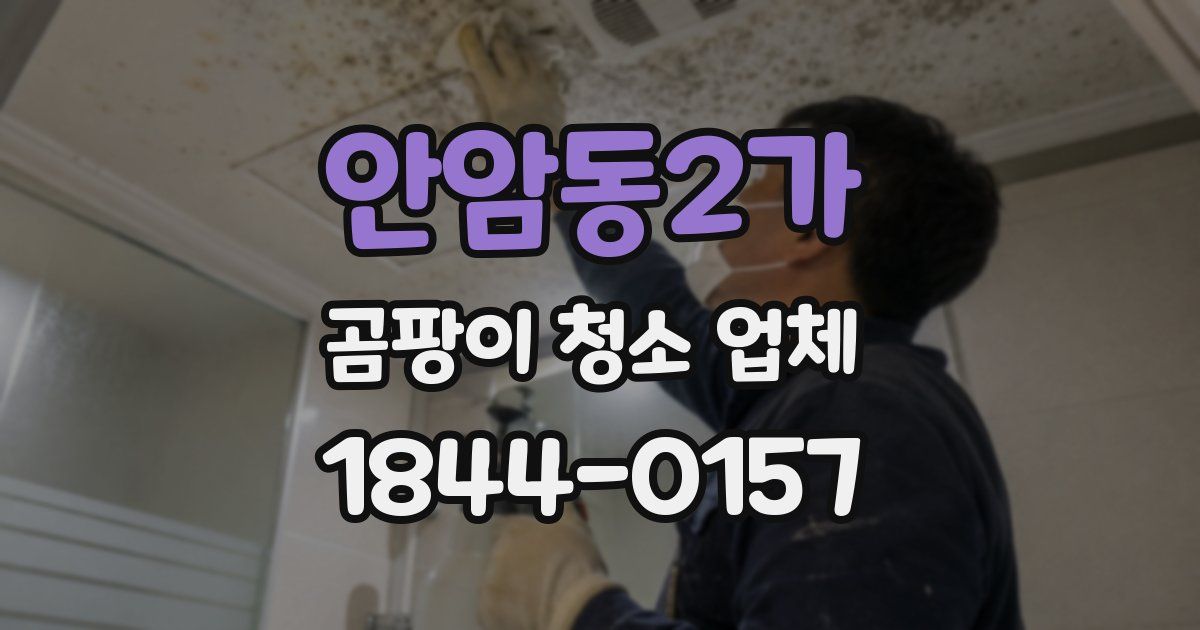 안암동2가 곰팡이 청소 업체