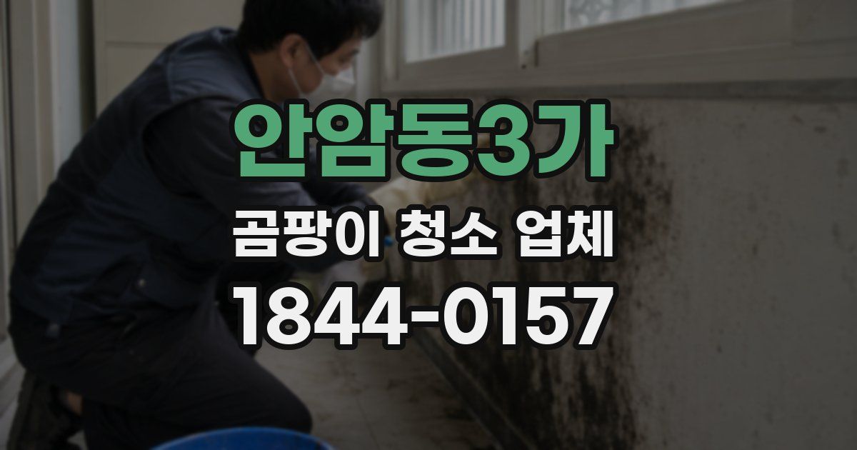 안암동3가 곰팡이 청소 업체