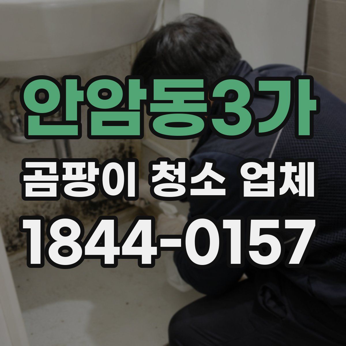 안암동3가 곰팡이 청소 업체