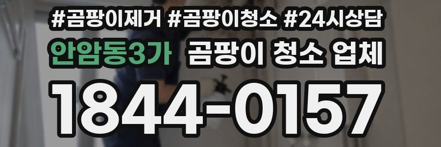 안암동3가 곰팡이 청소 업체