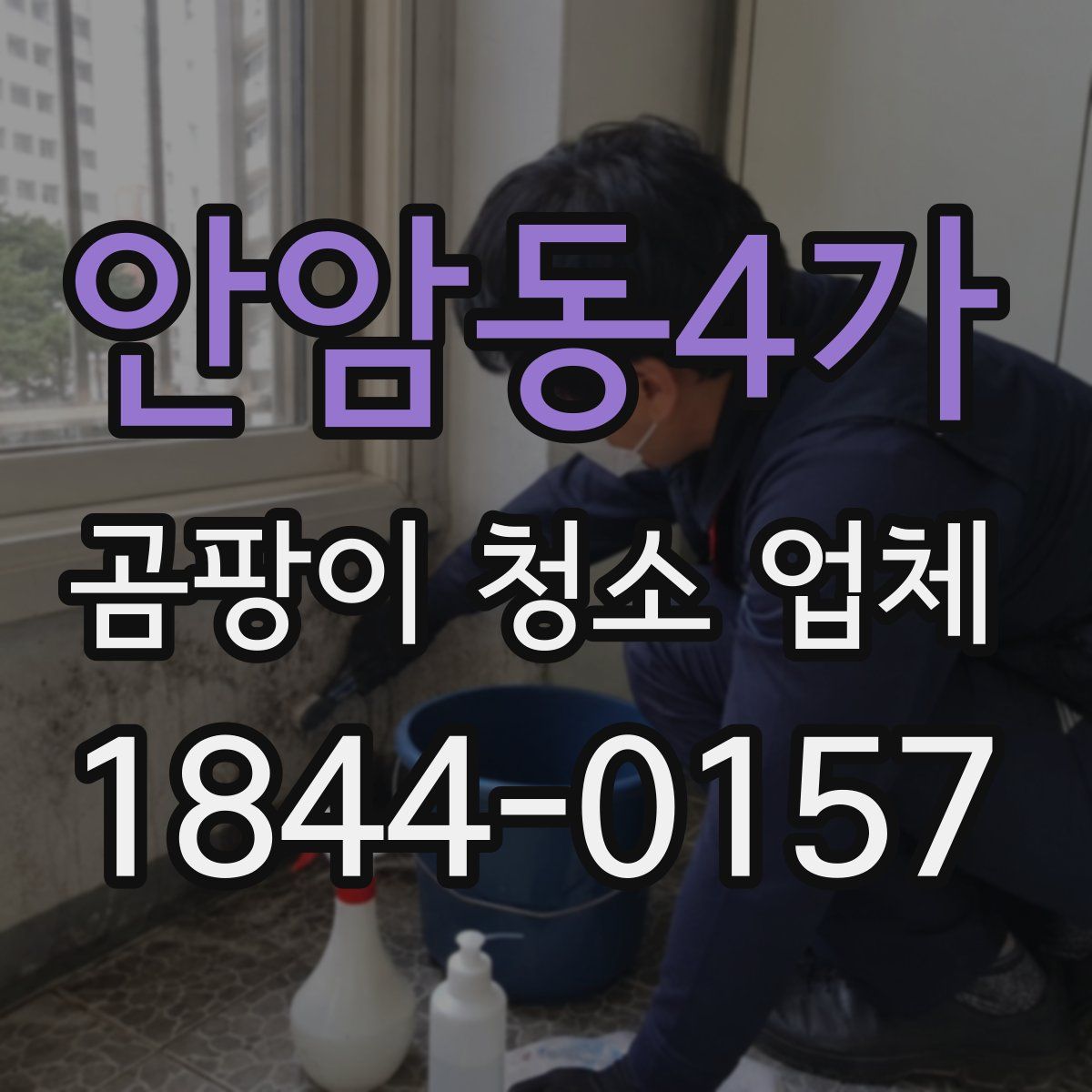 안암동4가 곰팡이 청소 업체