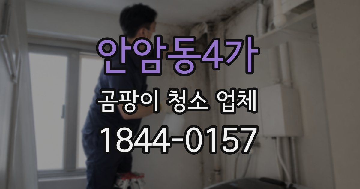 안암동4가 곰팡이 청소 업체