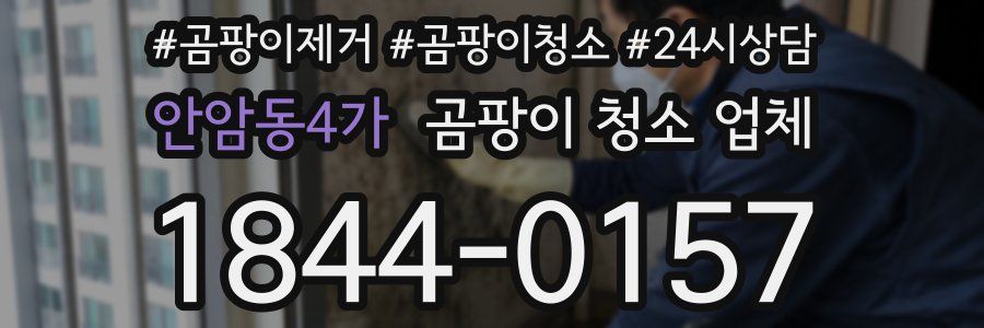 안암동4가 곰팡이 청소 업체