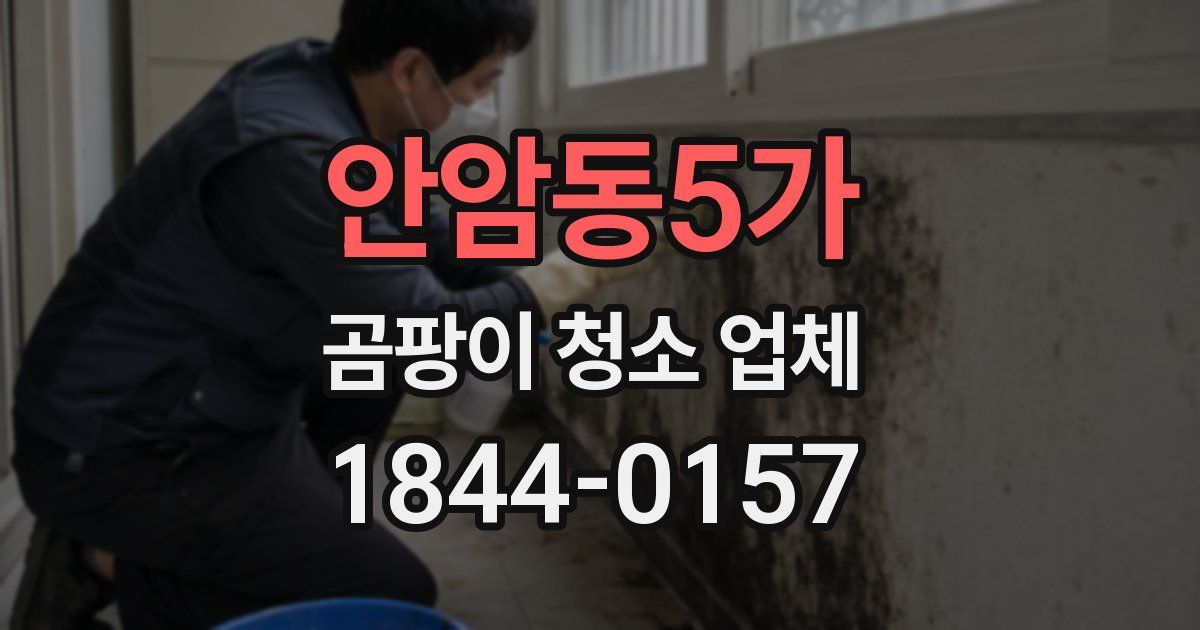안암동5가 곰팡이 청소 업체