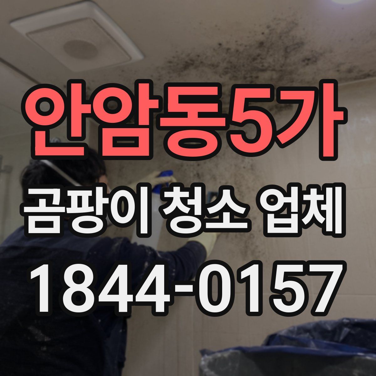 안암동5가 곰팡이 청소 업체