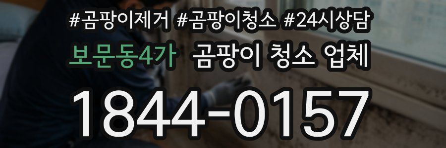 보문동4가 곰팡이 청소 업체