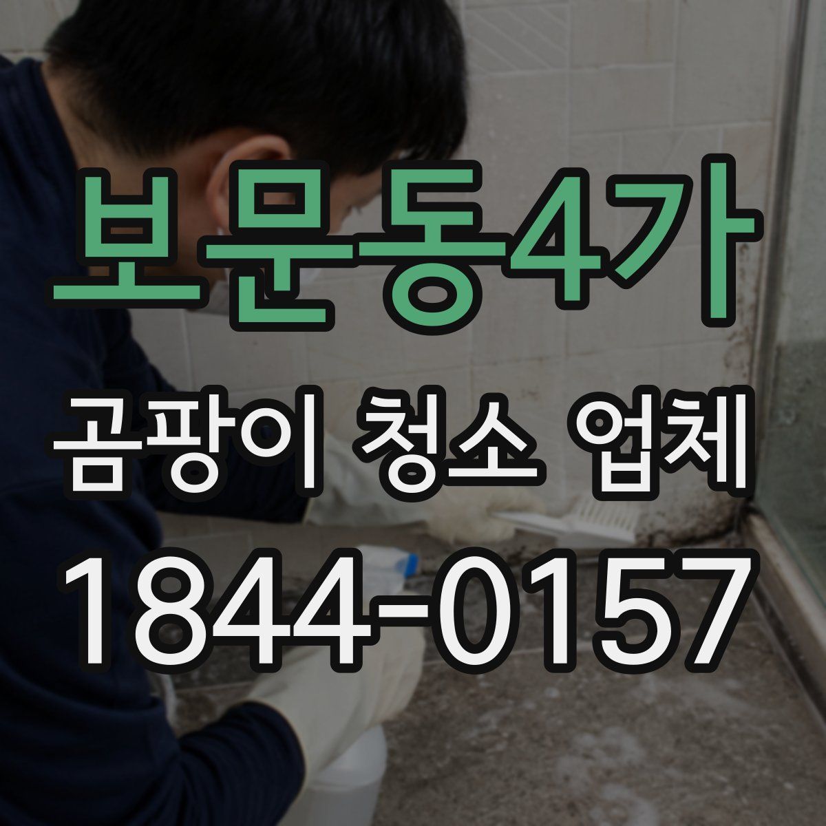 보문동4가 곰팡이 청소 업체