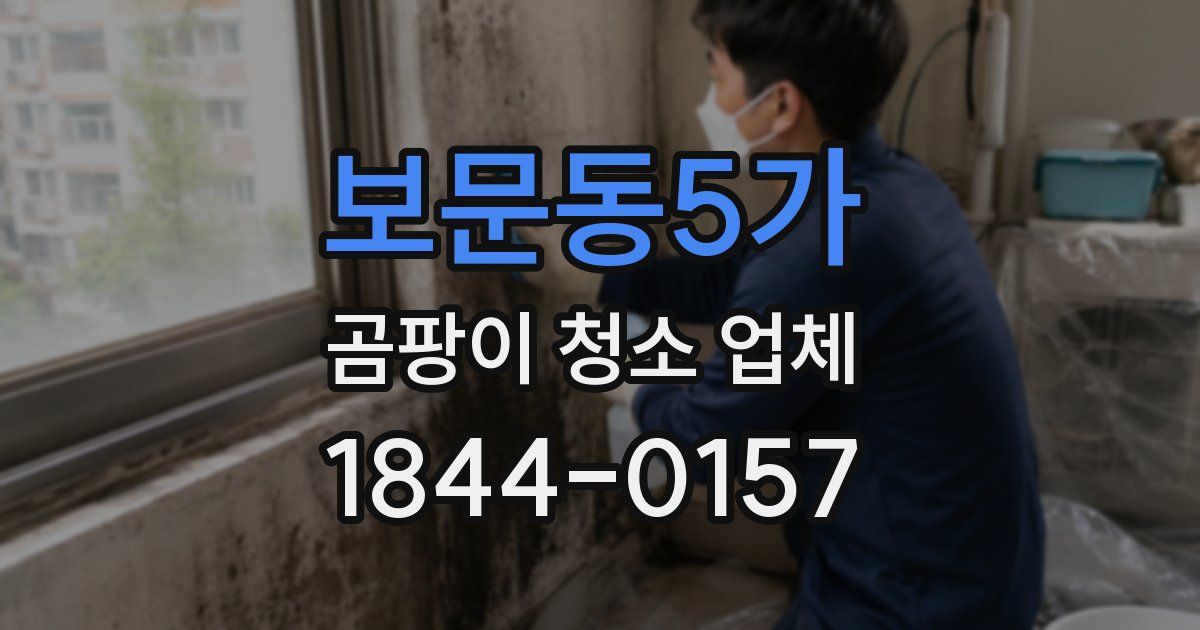보문동5가 곰팡이 청소 업체