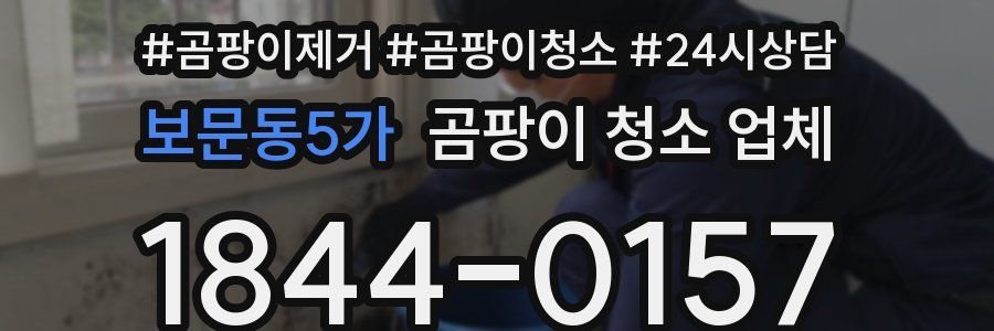 보문동5가 곰팡이 청소 업체