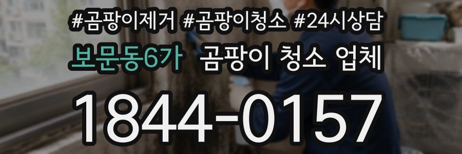 보문동6가 곰팡이 청소 업체