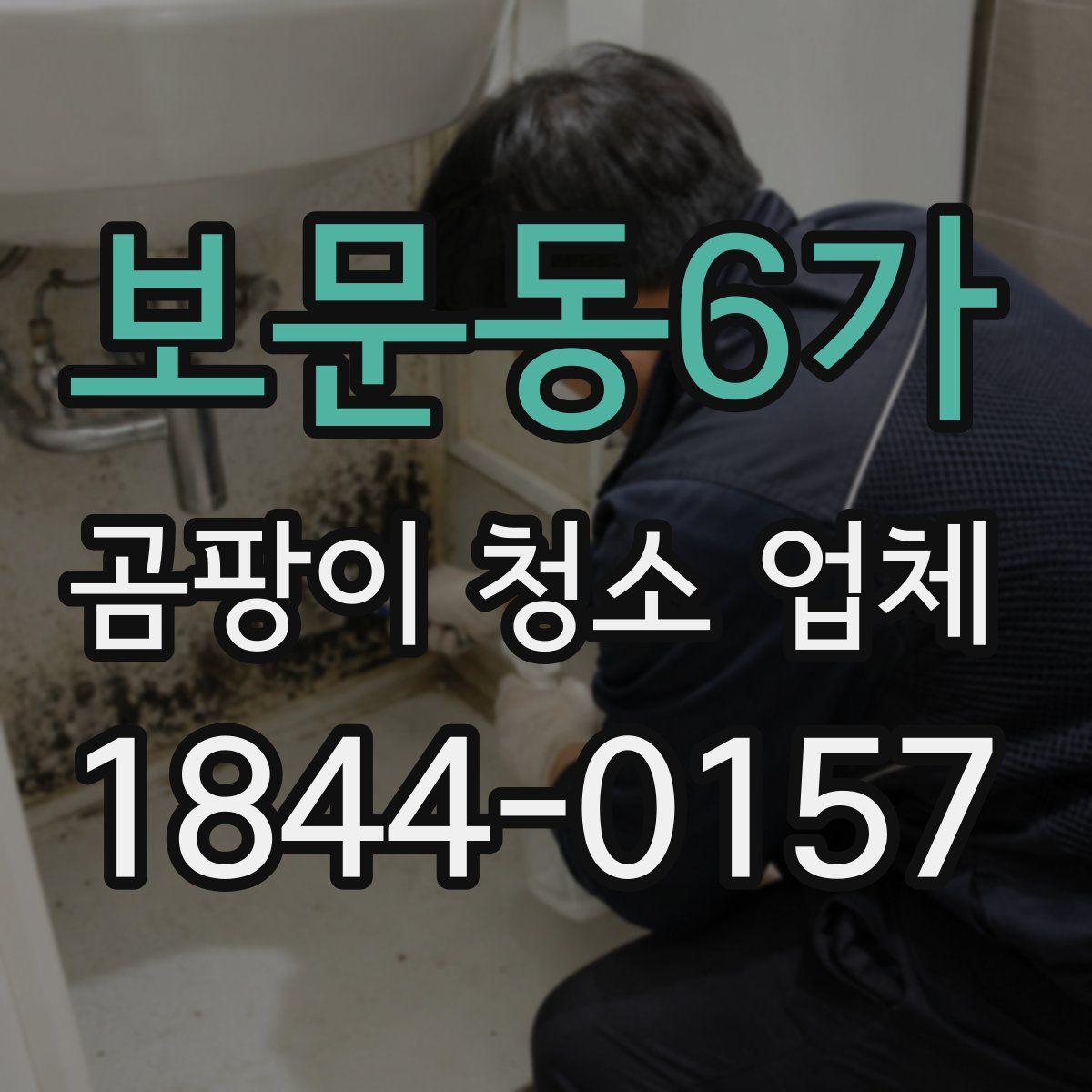 보문동6가 곰팡이 청소 업체