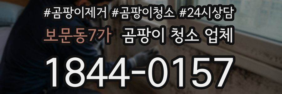 보문동7가 곰팡이 청소 업체