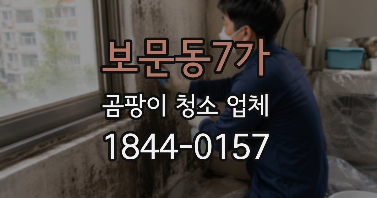 보문동7가 곰팡이 청소 업체