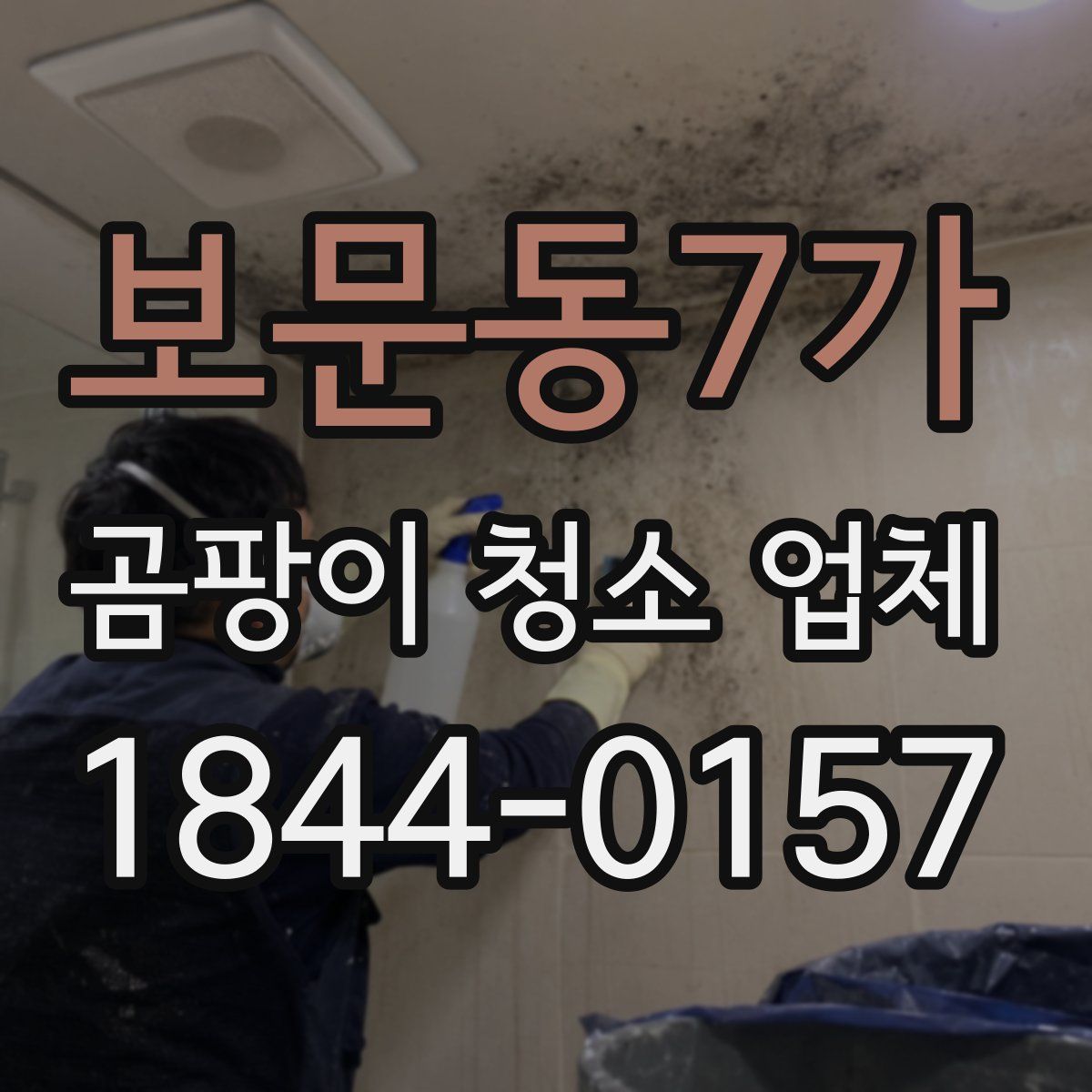 보문동7가 곰팡이 청소 업체