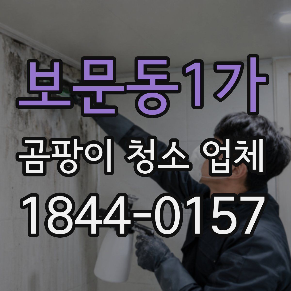 보문동1가 곰팡이 청소 업체