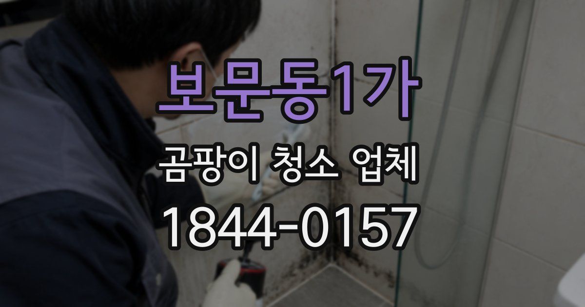 보문동1가 곰팡이 청소 업체
