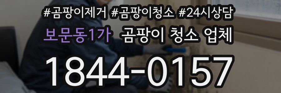 보문동1가 곰팡이 청소 업체