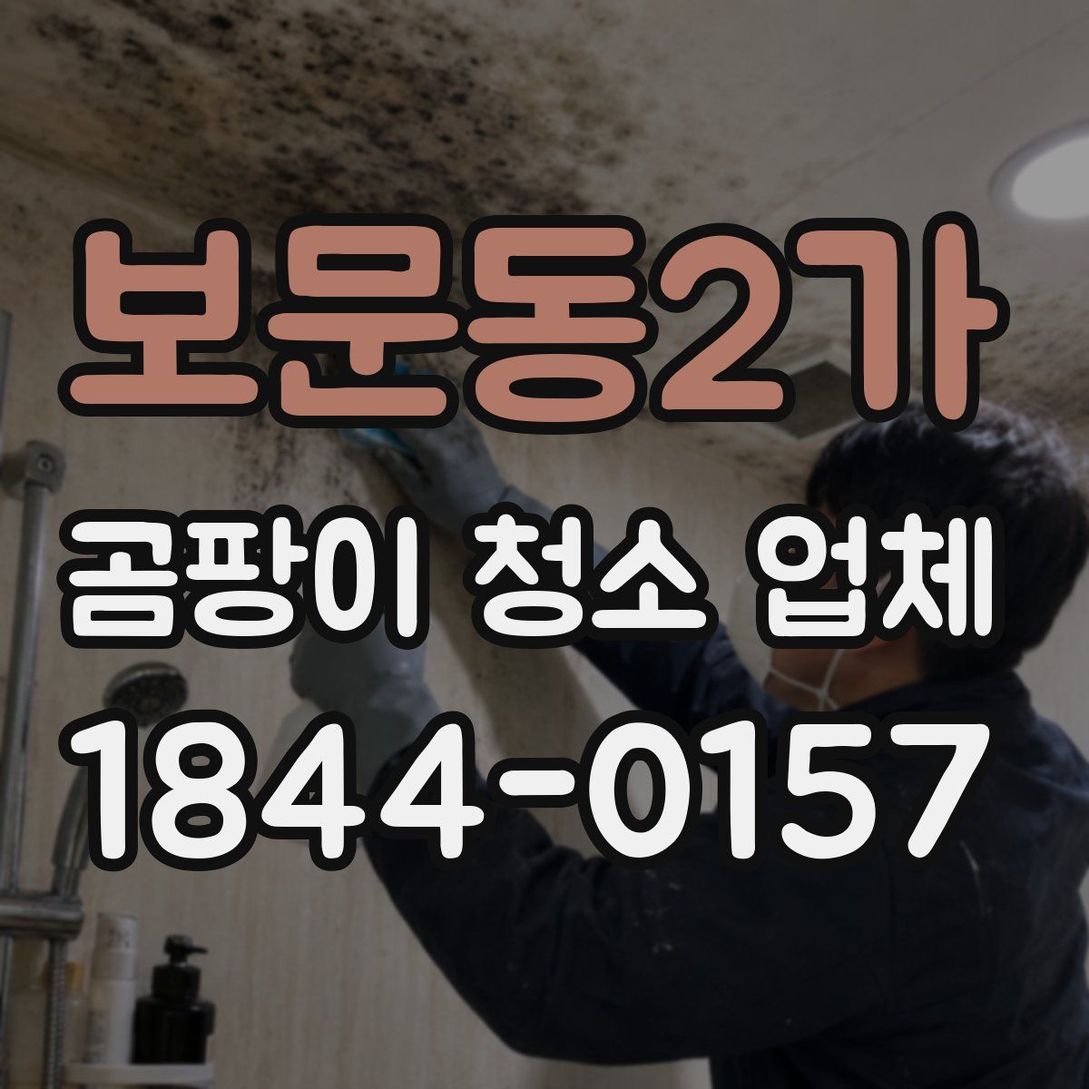 보문동2가 곰팡이 청소 업체