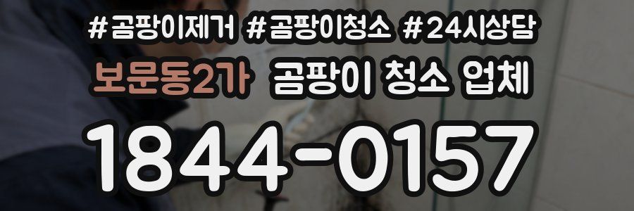 보문동2가 곰팡이 청소 업체