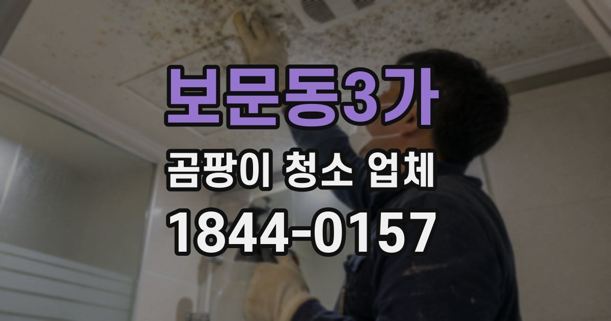 보문동3가 곰팡이 청소 업체