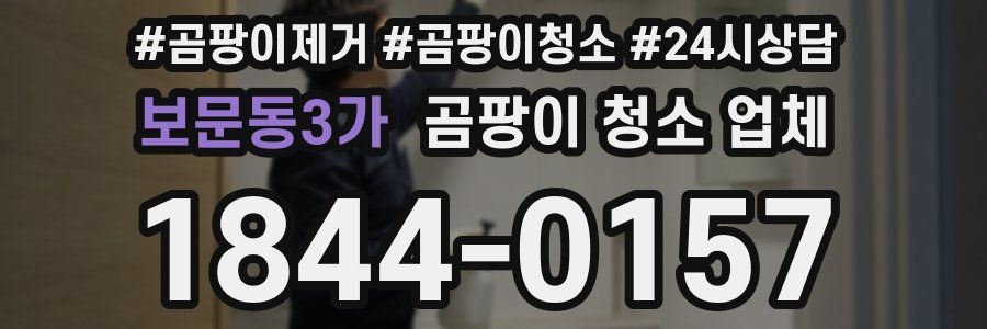 보문동3가 곰팡이 청소 업체