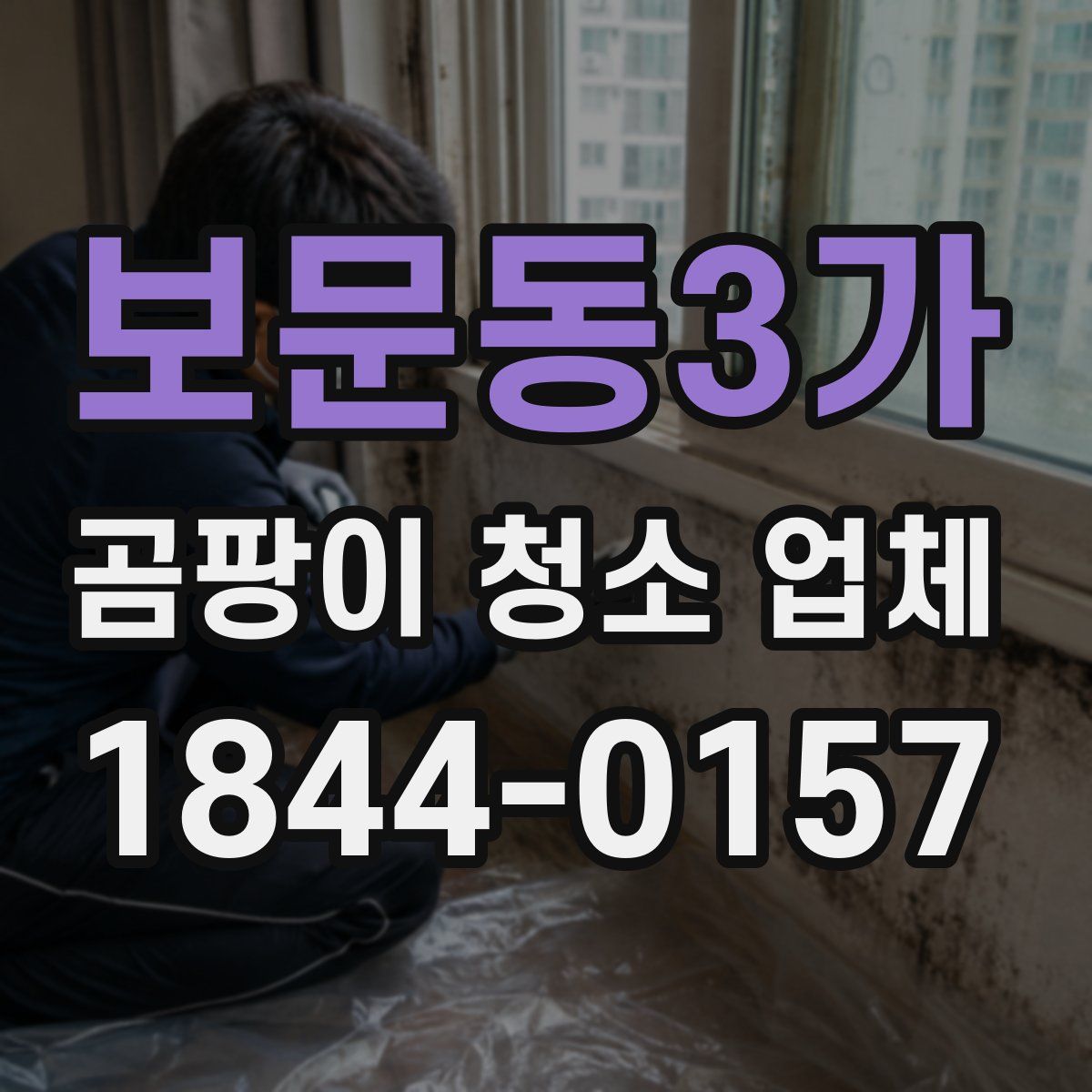 보문동3가 곰팡이 청소 업체