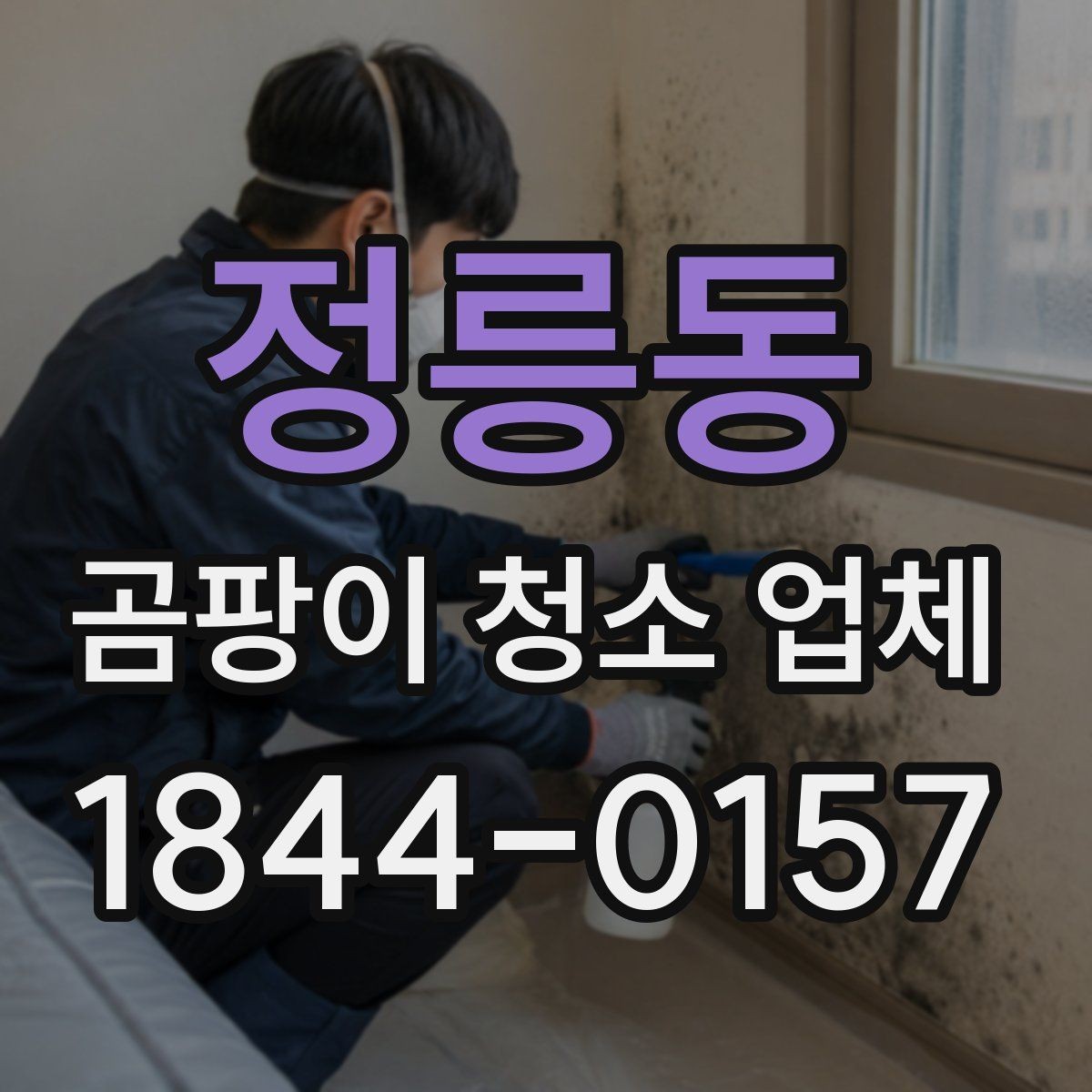 정릉동 곰팡이 청소 업체 작업 범위가 달라지는 현장 체크포인트