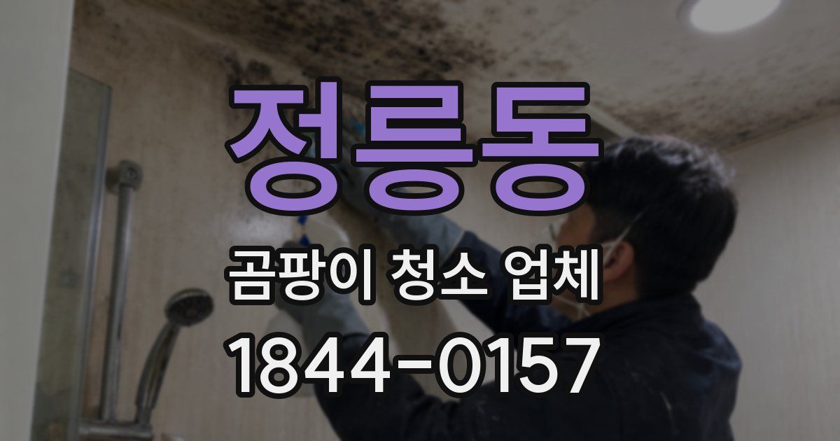정릉동 곰팡이 청소 업체