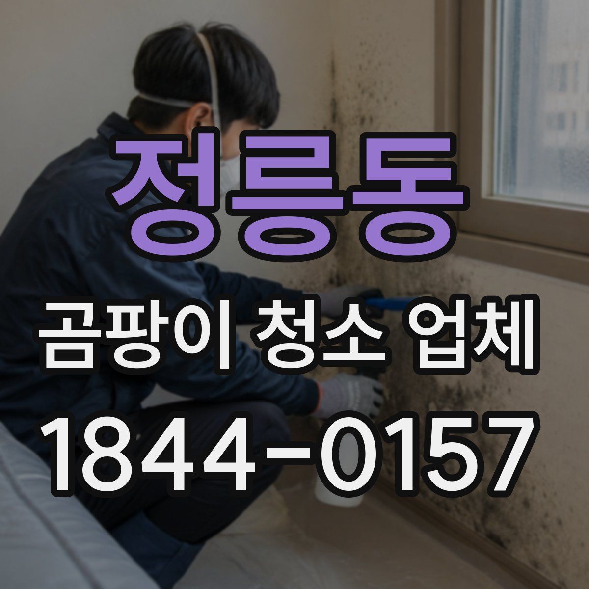 정릉동 곰팡이 청소 업체
