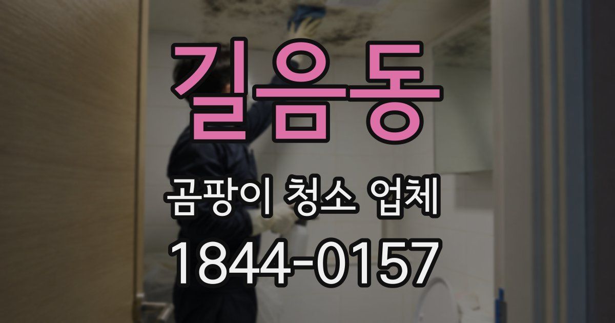 길음동 곰팡이 청소 업체