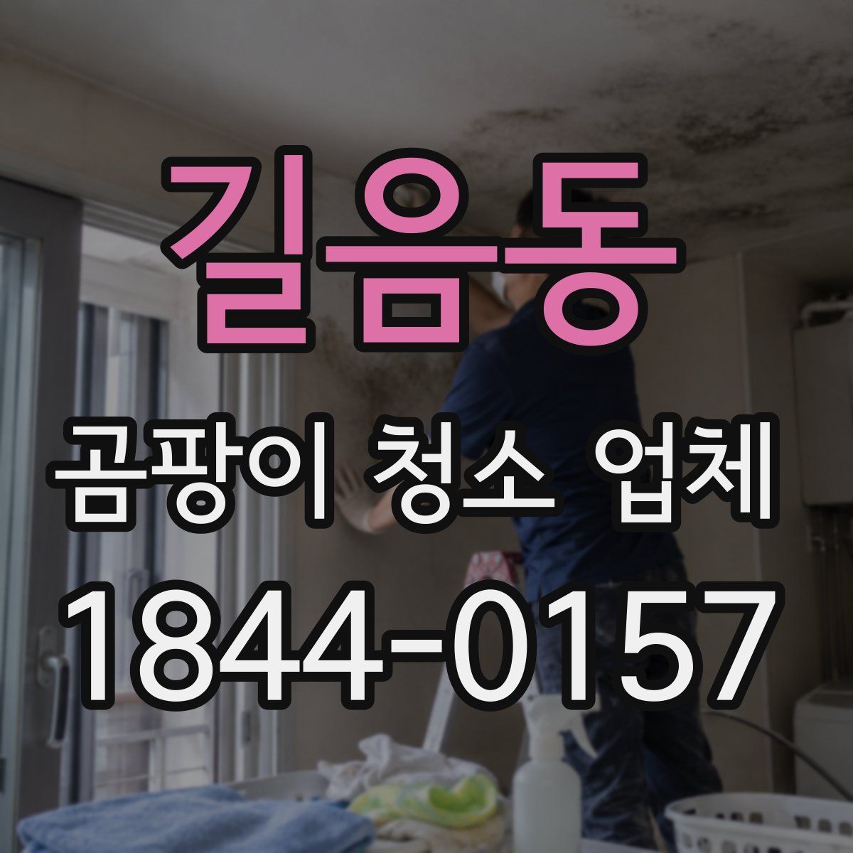 길음동 곰팡이 청소 업체