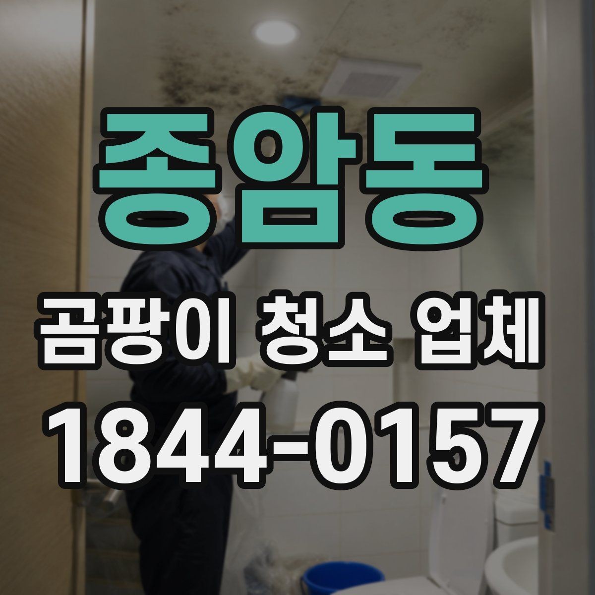 종암동 곰팡이 청소 업체 침대와 매트리스 오염이 생겼을 때 대응법