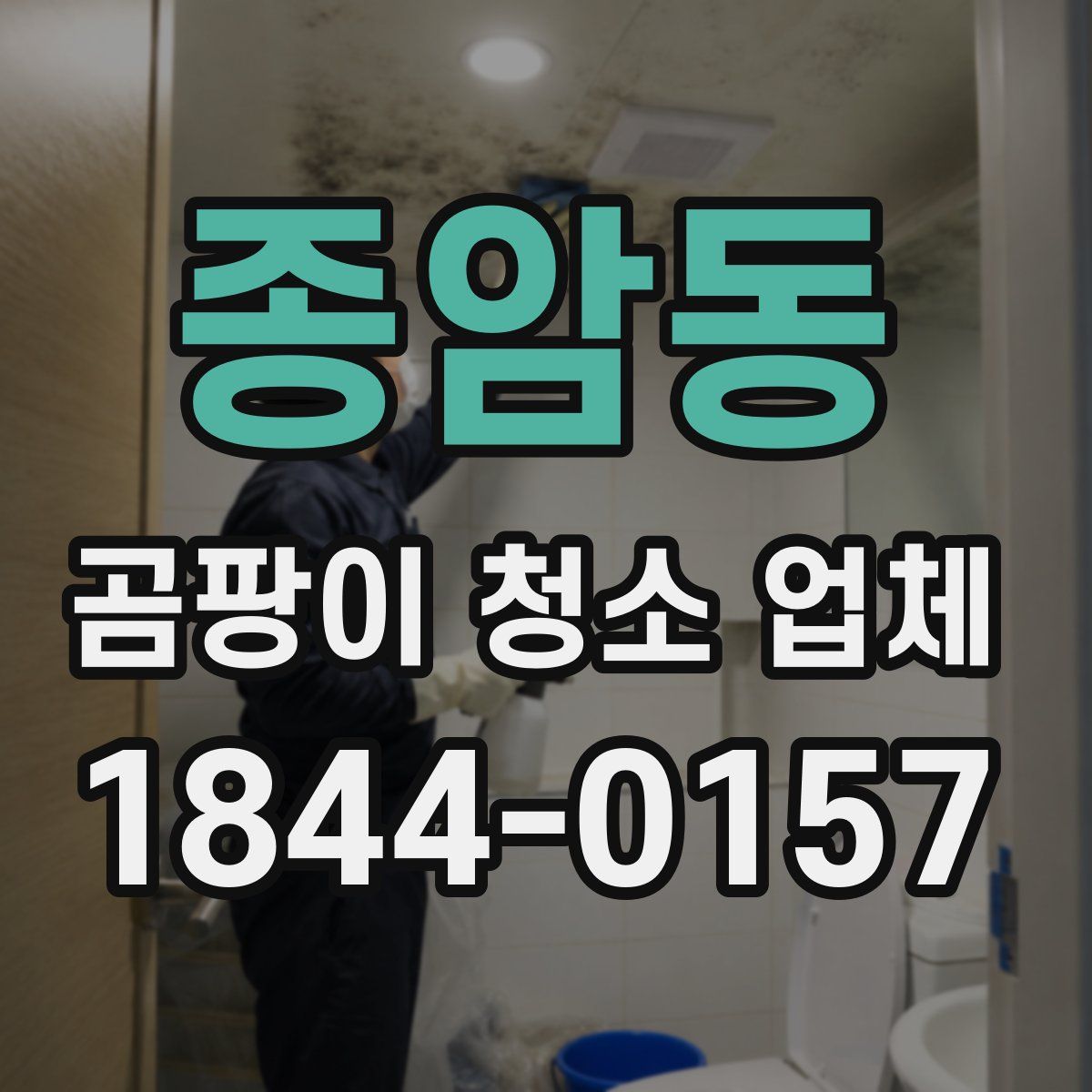 종암동 곰팡이 청소 업체