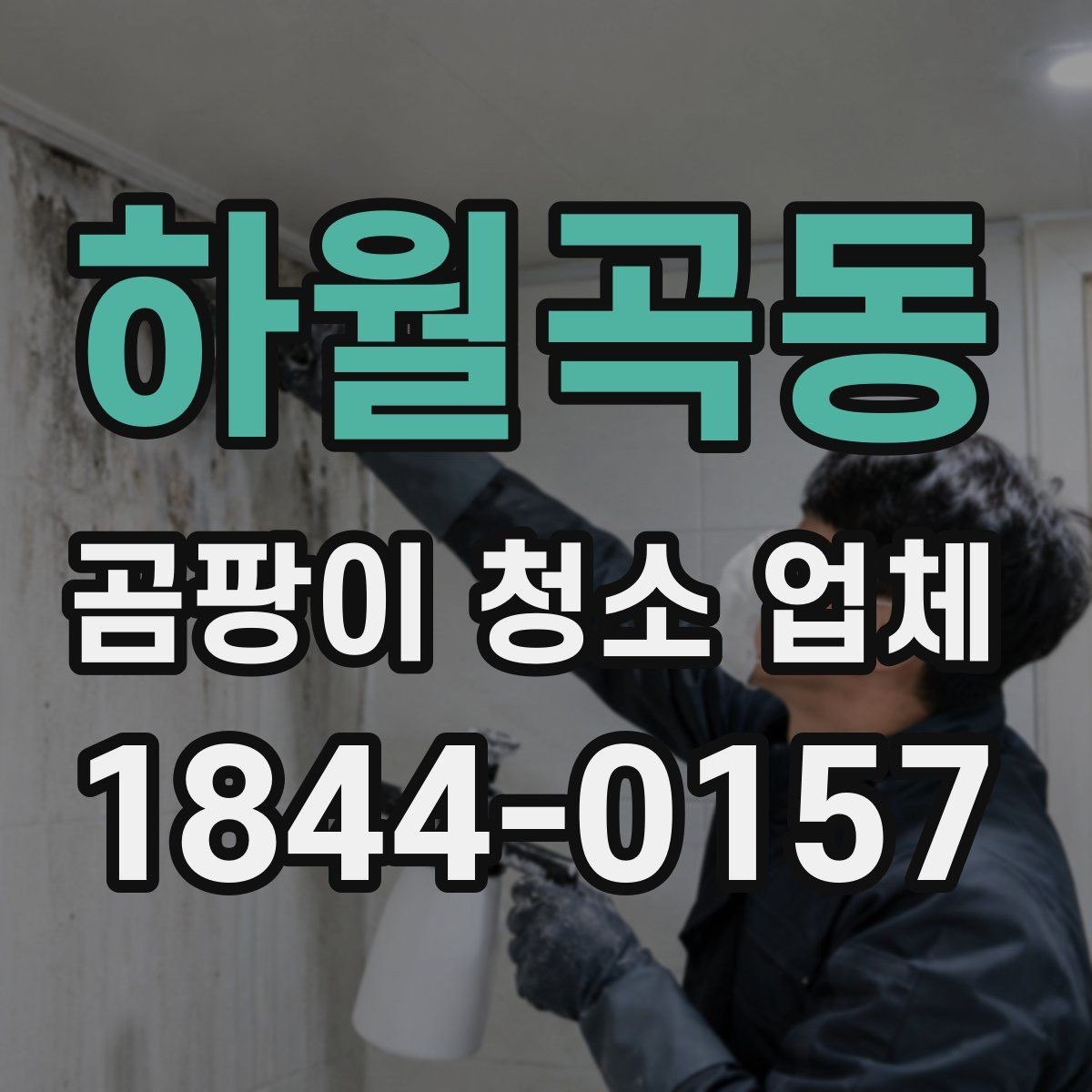 하월곡동 곰팡이 청소 업체 냄새와 얼룩을 함께 봐야 하는 이유