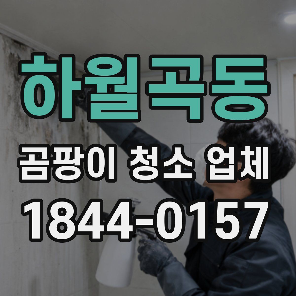하월곡동 곰팡이 청소 업체