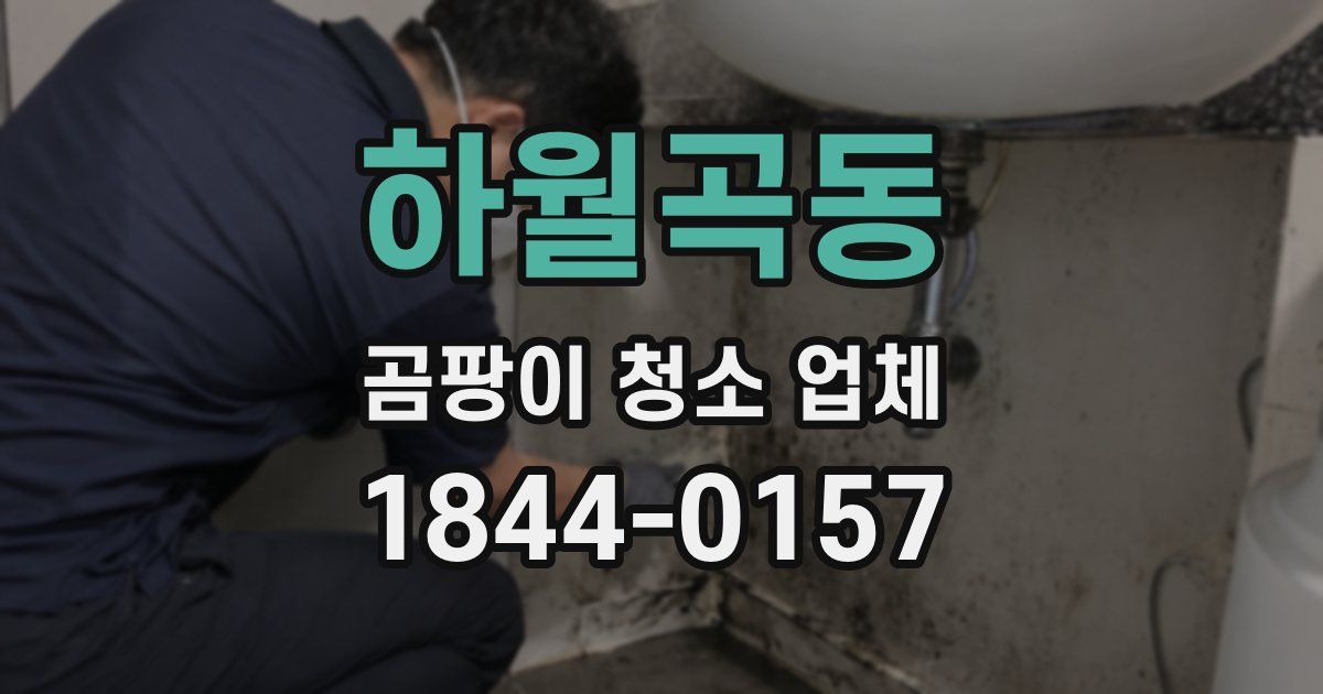 하월곡동 곰팡이 청소 업체