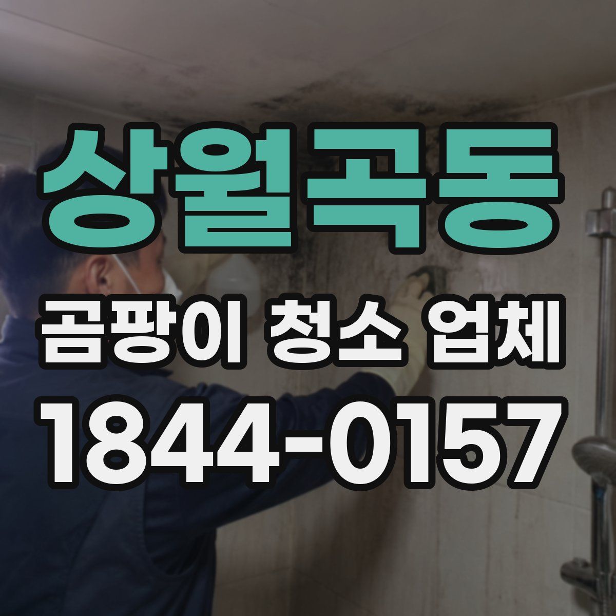 상월곡동 곰팡이 청소 업체