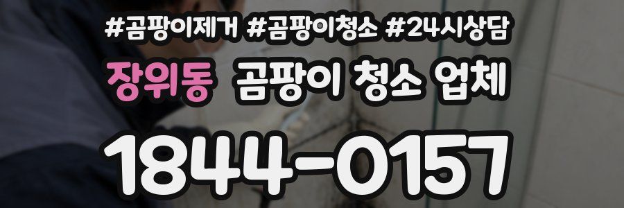 장위동 곰팡이 청소 업체