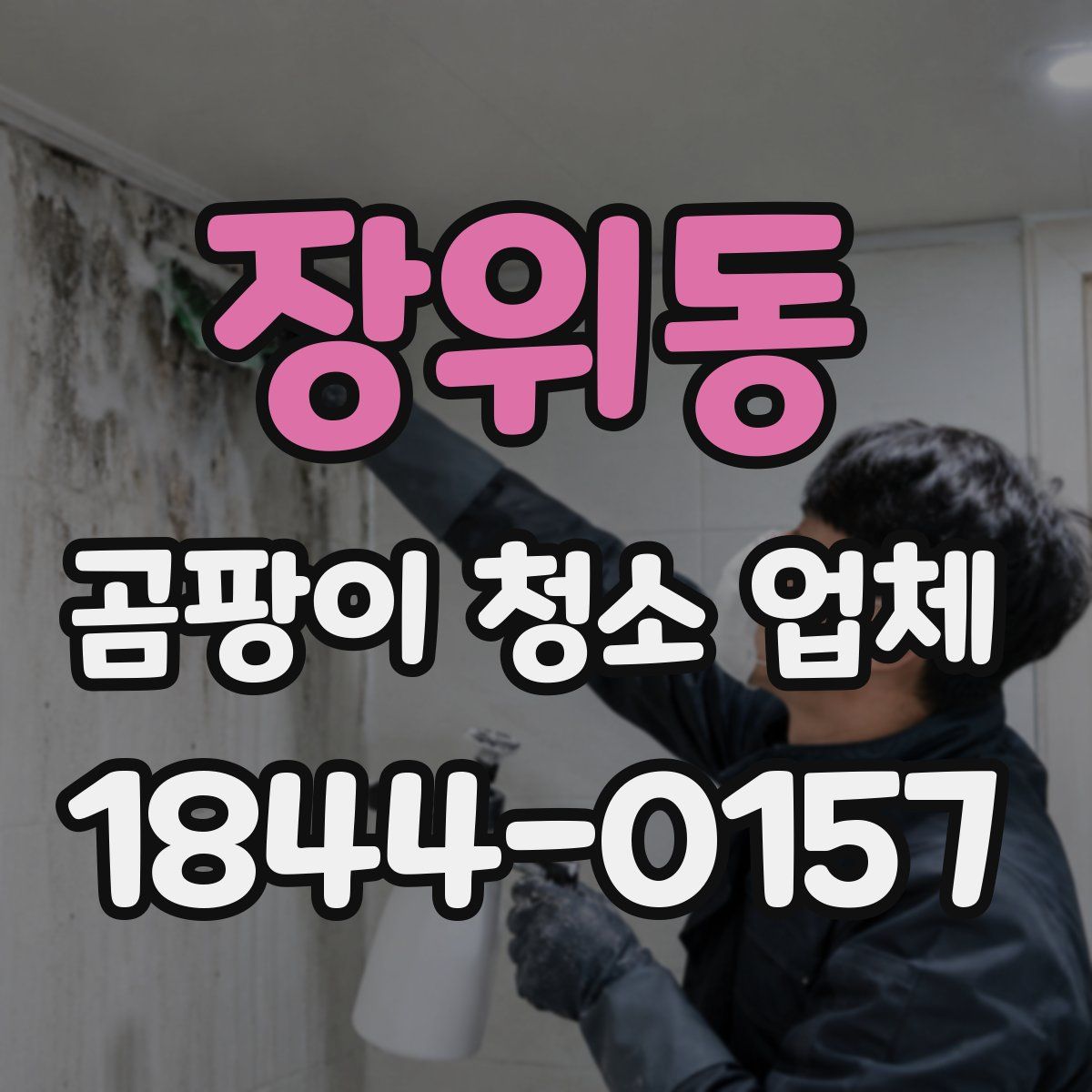 장위동 곰팡이 청소 업체