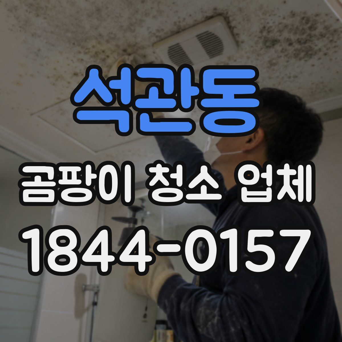 석관동 곰팡이 청소 업체