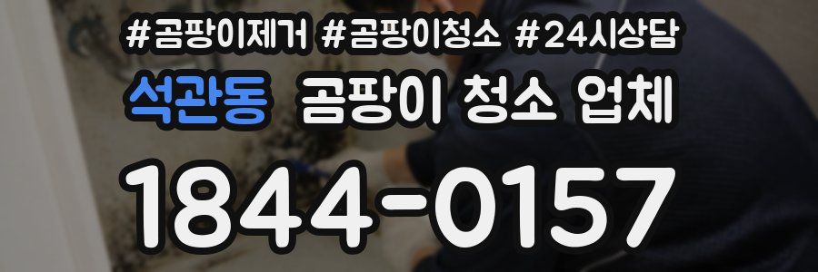 석관동 곰팡이 청소 업체