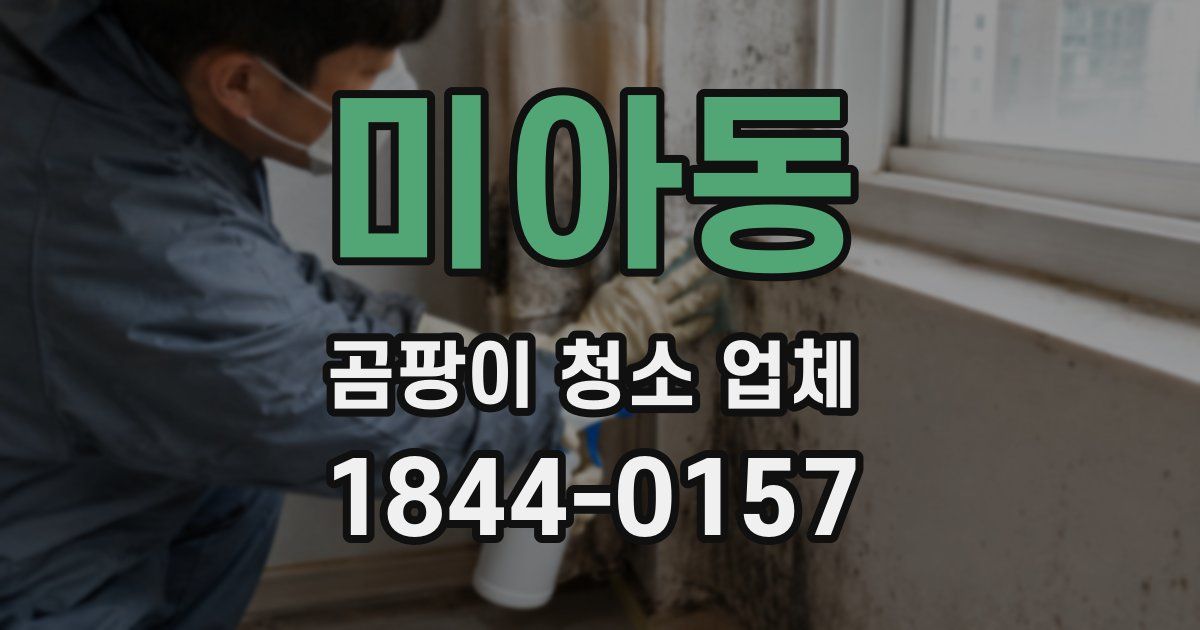 미아동 곰팡이 청소 업체