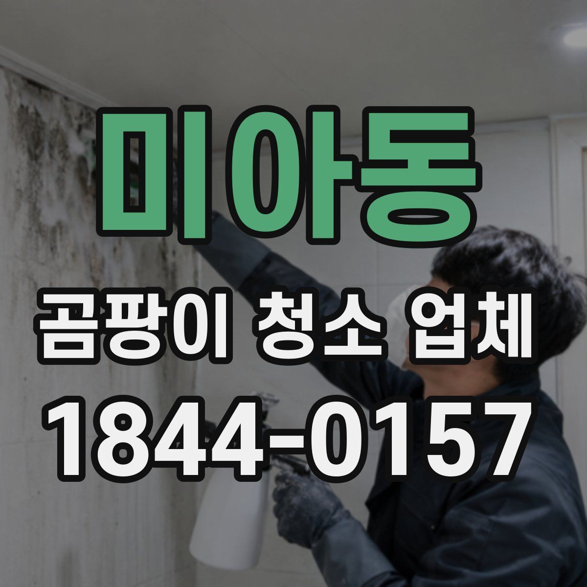 미아동 곰팡이 청소 업체