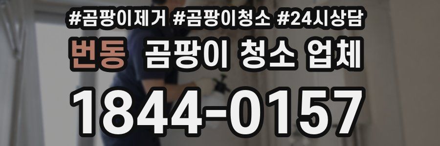 번동 곰팡이 청소 업체