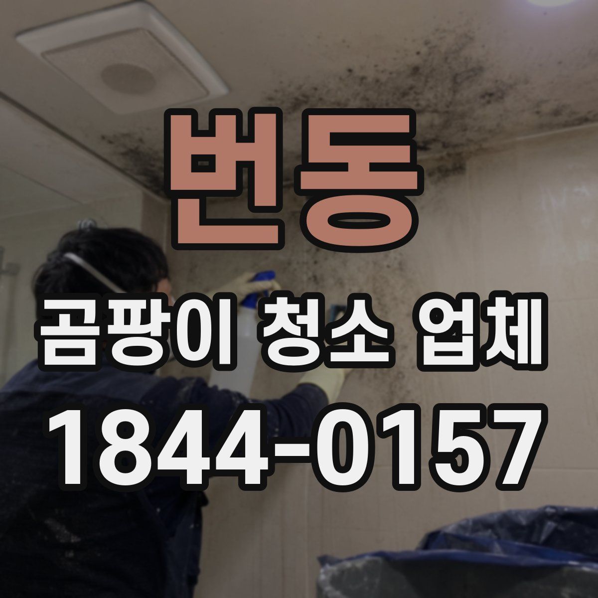 번동 곰팡이 청소 업체
