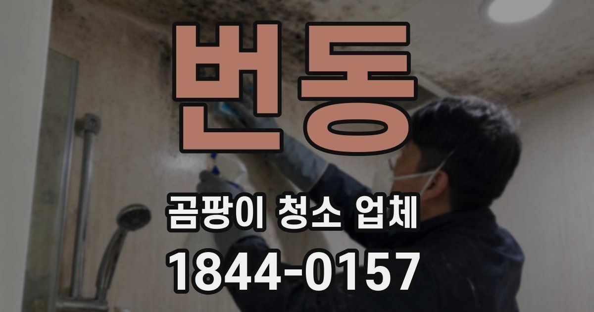 번동 곰팡이 청소 업체