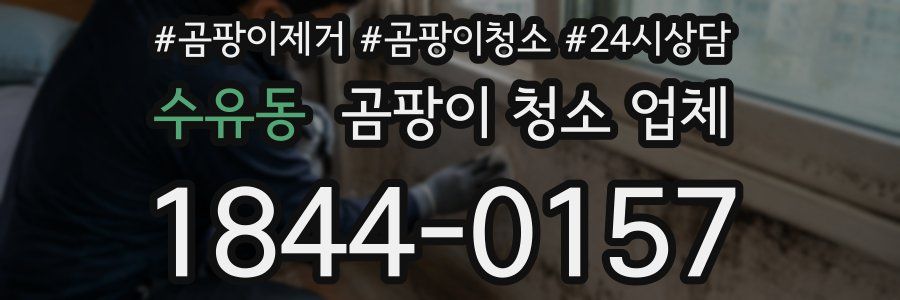 수유동 곰팡이 청소 업체